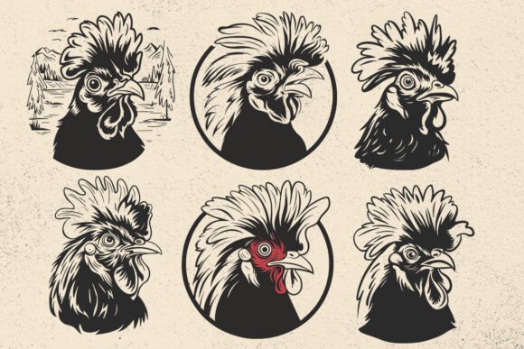 Crazy Chicken Png for Blogs and Crafts